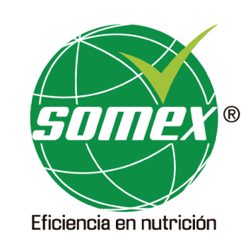 Logo Somex