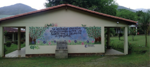 Casa de zona rural con pinturas en uno de sus muros.