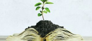 Planta y tierra sobre las páginas internas de un libro.