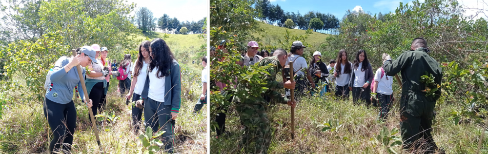 Sembratón en el municipio de Marinilla, Antioquia
