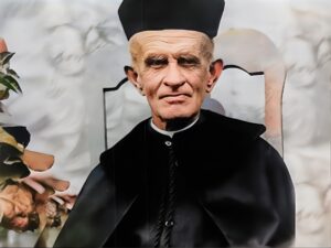 Patronos Institucionales